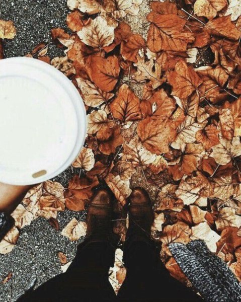 Стаканчик кофе на улице осенью