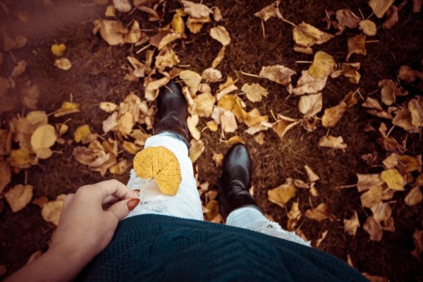 Обувь в осенних листьях