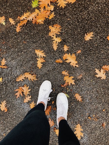Ноги в осенних листьях