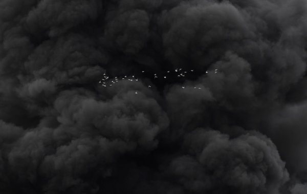 Облако дыма на черном фоне