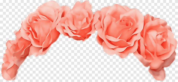 Венок из роз на прозрачном фоне