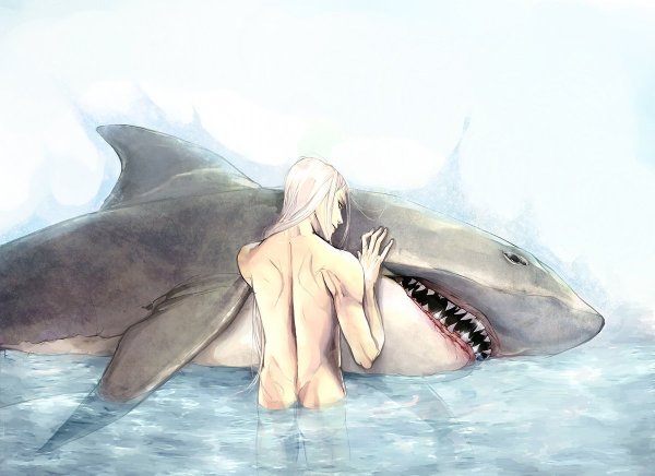 Девушка акула арт