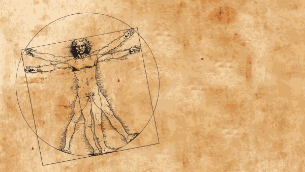 Витрувианский человек Леонардо да Винчи вектор