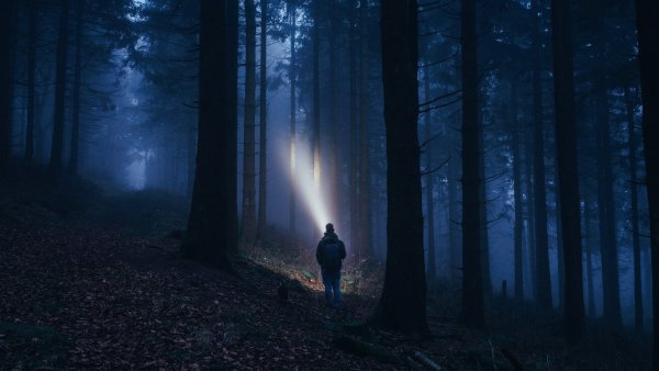 Человек в лесу ночью