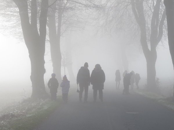 Толпа в тумане