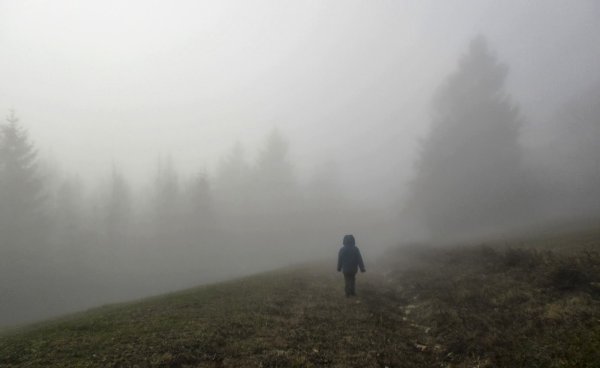 Человек в туманном лесу