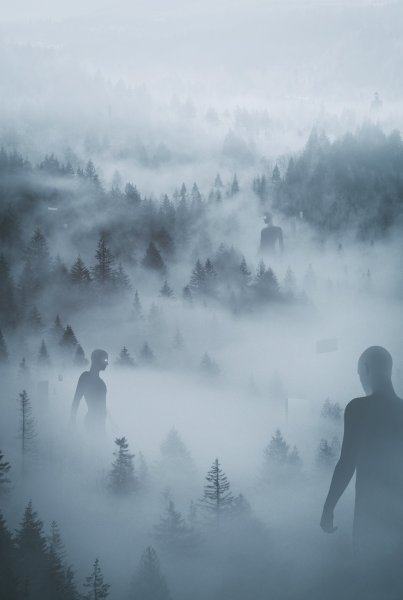 Человек в туманном лесу