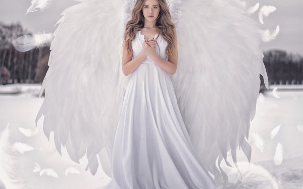 Ангелы красотки