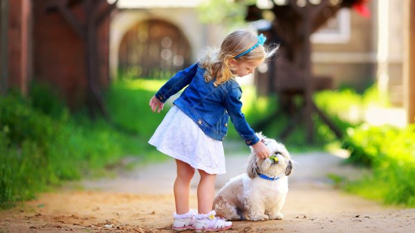 Маленькая девочка с собачкой