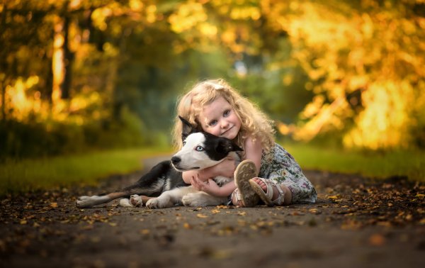 Маленькая девочка с собачкой