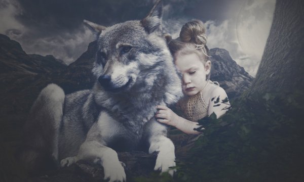 Маленькая девочка и волк
