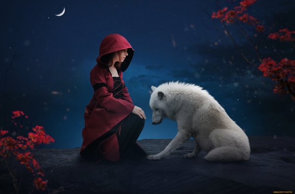 Красная шапочка 2022 белый волк