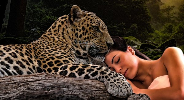 Красивая девушка и леопард