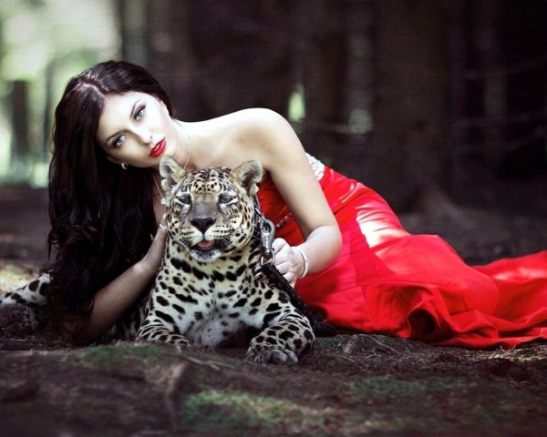 Обои девушка леопард