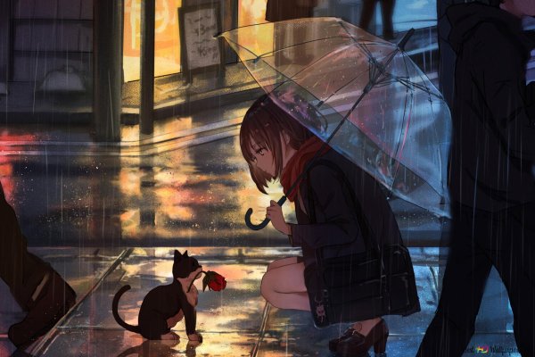 Аниме девушка дождь