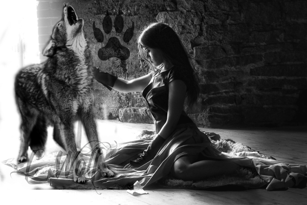 Девушка и волк обои
