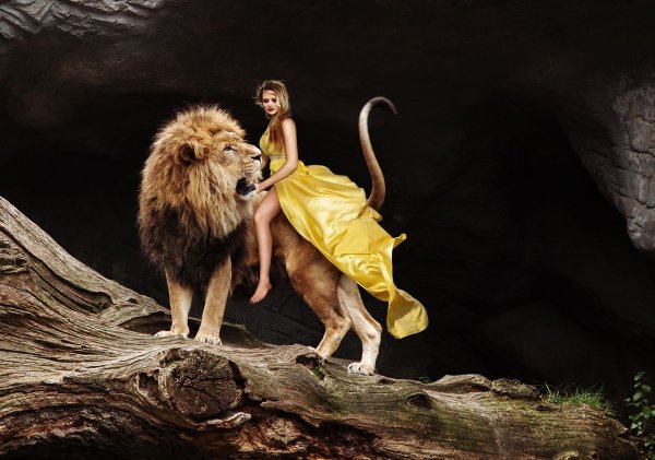 Фотосессия со львом