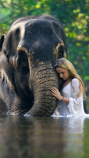 Фотосессия со слонами