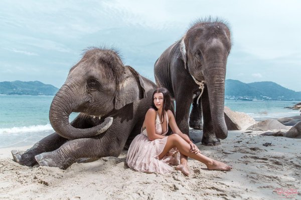 Фотосессия со слоном
