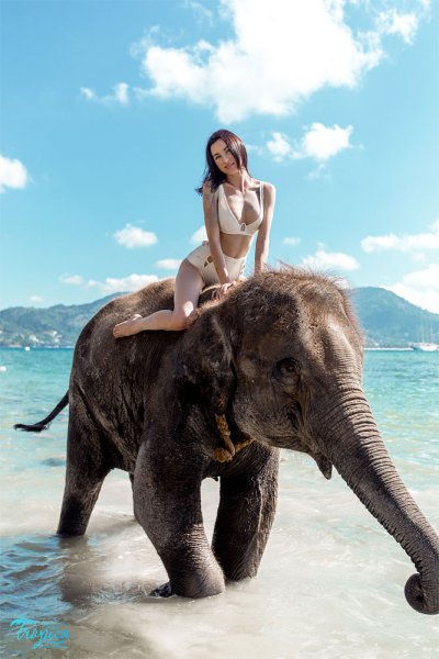 Девушка со слонами