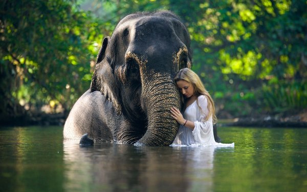 Фотосессия со слоном
