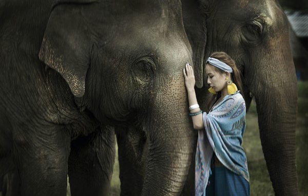 Слоненок и человек