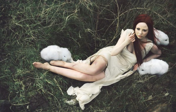 Обои девушки с кроликом