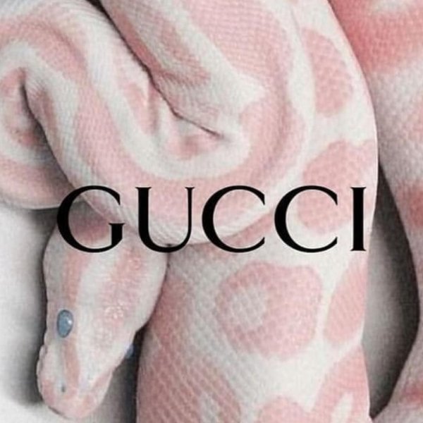 Gucci Эстетика обои