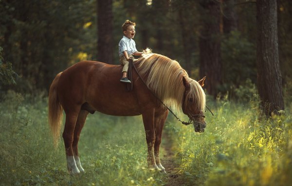 Мальчик на лошади