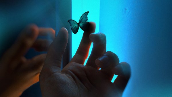 Светящаяся бабочка