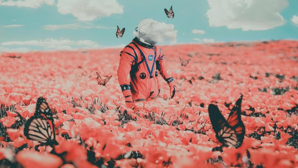Космонавт в поле с цветами