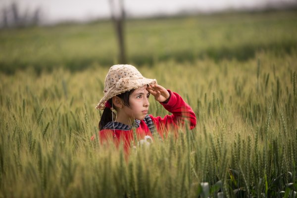 Мальчик в пшеничном поле