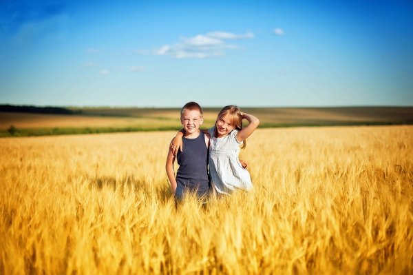 Счастливая семья в пшеничном поле