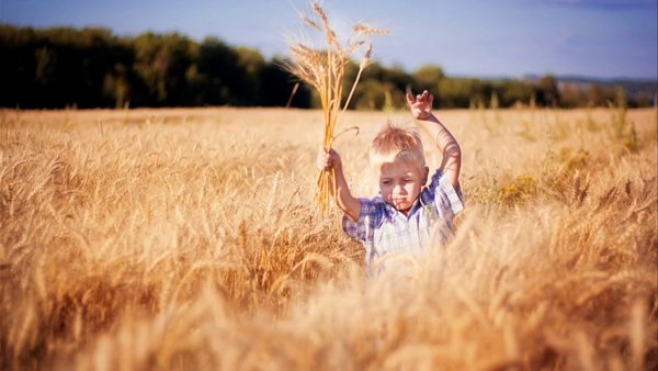 Фотосессия в пшеничном поле