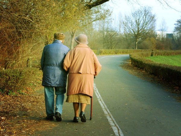 Старики гуляют