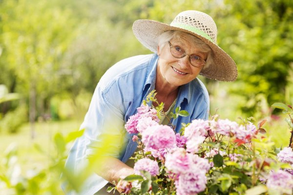 Пенсионерка в саду