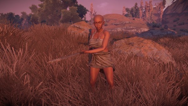 Rust (игра)