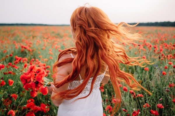 Девушки с рыжими волосами в поле