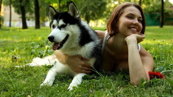 Фотосессия девушка с собакой