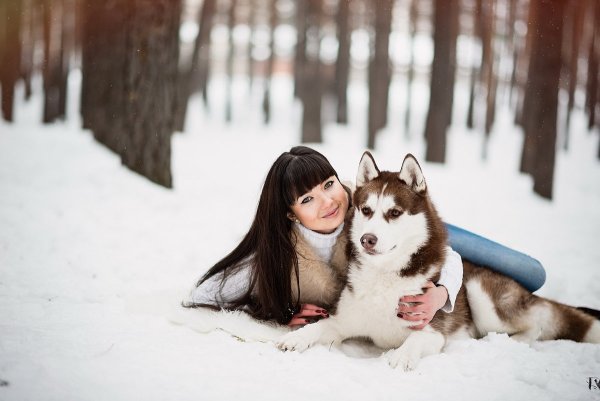 Фотосессия с собакой зимой