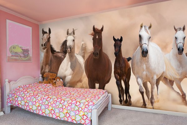 Фотообои с лошадьми на стену