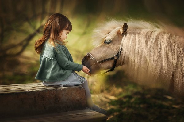 Девочка и конь