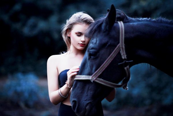 Красивая девушка на лошади