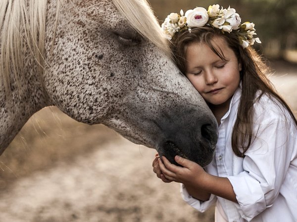 Лошадки для девочек
