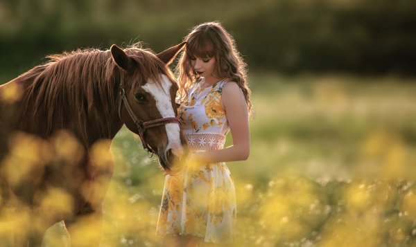 Лошадь девушка лето