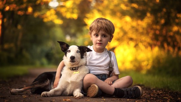 Детская фотосессия с собакой