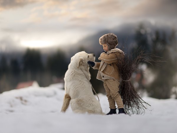 Фотосессия с собакой зимой