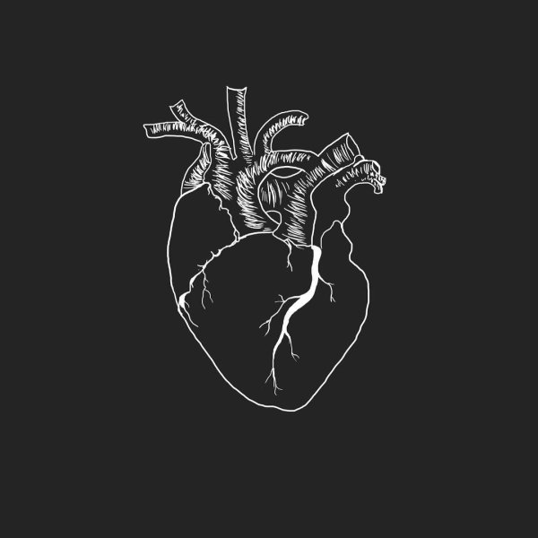 Человеческое сердце на черном фоне
