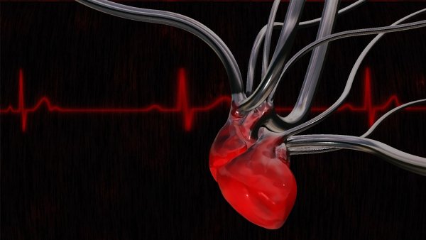 Сердце на черном фоне анатомия