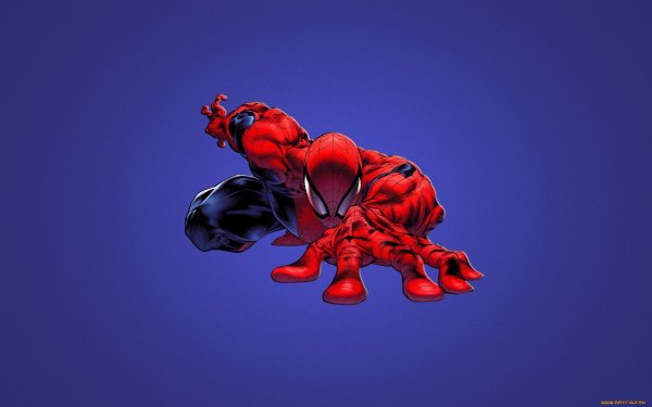 Красный человек паук